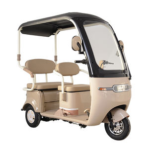 Remorque de transport ouverte en acier personnalisable <span class=keywords><strong>pour</strong></span> trois personnes, abri contre la pluie, <span class=keywords><strong>pour</strong></span> personnes âgées et handicapées, transport urbain, tricycle électrique - Product Image 1