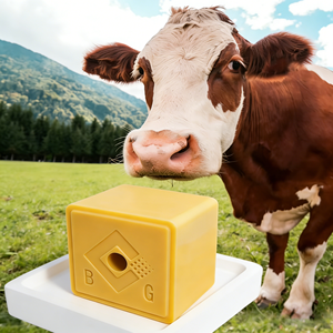 Cloruro de Sodio para Alimentación Animal, Grado Alimenticio 96% de Pureza, Suplemento Mineral para Ganado Vacuno, Ovino y Porcino - Product Image 6
