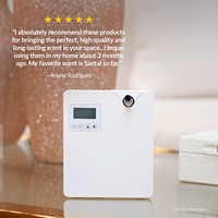 Diffuseur d'huiles essentielles électrique PRO300 OEM, machine de diffusion de parfum pour hôtel, vente en gros, diffuseur d'arômes, garantie 1 an