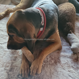 แท่งเคี้ยวไม้สำหรับสุนัข รสกาแฟแท้ ของเล่นกาแฟธรรมชาติ ทำความสะอาดฟัน ความบันเทิงแบบอินเทอร์แอคทีฟในร่มเพื่อบรรเทาความเบื่อหน่าย - Product Image 1