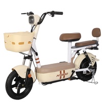 Vélo électrique léger à 2 places pour adultes, scooter électrique pour deux passagers, batterie 48V, vélo électrique pour les déplacements quotidiens