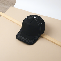 Gorras de Béisbol Personalizadas de 5 Paneles con Visera Curva, Estructuradas, con Logotipo Bordado en 3D para Hombre