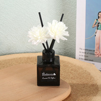 Diffuseur de parfum d'ambiance longue durée, purificateur d'air, éliminateur d'odeurs, huile essentielle naturelle de plantes, aromathérapie, ensemble de diffuseurs à bâtonnets