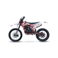 Moto tout-terrain 4 temps KT2 PR300 300cc, moto de course, fourche de 230 mm de course, garde au sol de 310 mm