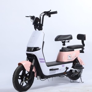 Vélo électrique le plus vendu : Moteur 500W, batterie au plomb-acide 48V, charge rapide, longue autonomie, véhicule électrique à deux roues - Product Image 1