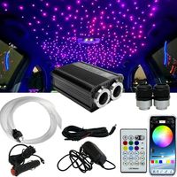 Kit de plafonnier de voiture à contrôle indépendant double canal, LED RGBW, décoration intérieure, contrôle par télécommande et application sonore, lumière à fibre optique IP20