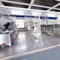 Équipement de refroidisseur de vis de machine d'abattage de volaille de poulet 500-1000BPH