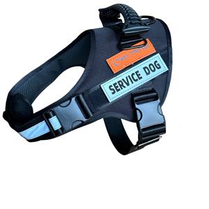 Kingtale Pet Fornecedores Heavy Duty ajustável respirável reflexivo leve não puxar Pet <span class=keywords><strong>Harness</strong></span> para Médio Grande - Product Image 4