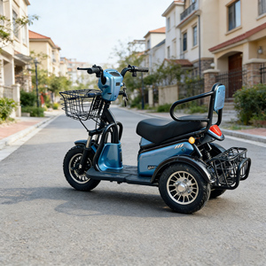 Triciclo Elettrico Holladay 500W, Scooter Elettrico a <span class=keywords><strong>3</strong></span> <span class=keywords><strong>Ruote</strong></span>, Controller a 12 Tubi, E-bike a 2 Posti per Adulti e Anziani, Autonomia 40km - Product Image 5