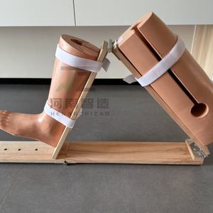 Modèle d'enseignement médical chirurgical de la jambe gauche fixée - Modèle anatomique du chromosome X en PVC de haute qualité pour l'entraînement - Product Image 3