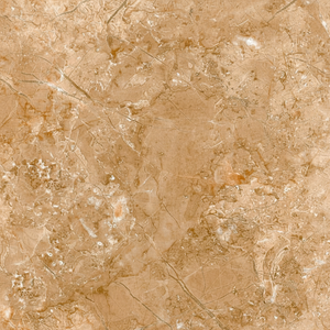 กระเบื้องพอร์ซเลนเคลือบเงาออสตินบราวน์ ขนาด 600x600 มม. (24x24 นิ้ว) กระเบื้องปูพื้นวิทริฟายด์ขัดเงา - Product Image 1