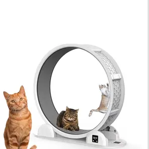 New Step Count Solar Charging Cat Exercise Treadmill Wheel Indoor Pet Running Scratching Exercise Wheel Cat Treadmill