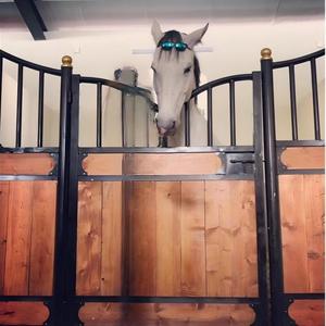 Puerta <span class=keywords><strong>de</strong></span> Establos Segura y Puertas <span class=keywords><strong>de</strong></span> Establos para Caballos para Máxima Protección y Seguridad <span class=keywords><strong>de</strong></span> los Caballos - Product Image 2