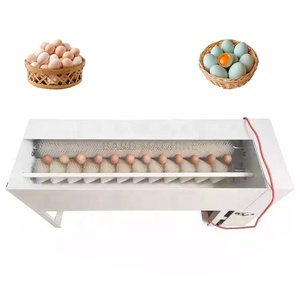 Lavadora de limpieza de huevos con cepillo Lavadora automática de huevos de pollo con ciclo de agua - Product Image 1