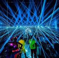 2w 3w 6w 10w dmx animation laser neige machines lazer light dj disco laser lights for wedding night club