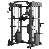 DINUO Machine Smith multifonctionnelle, Station de musculation à câbles croisés pour la maison, en métal robuste, entraînement de force, 300 kg