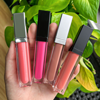 Gloss à lèvres LED avec miroir, imperméable, vegan, rouge à lèvres liquide non collant, logo personnalisé, tube cosmétique