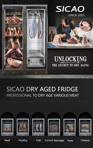 SICAO 500 ar séchage steak refroidisseur d'armoire d'hôtel commercial maison de bœuf au barbecue ager mini viande réfrigérateur vieillissant sec en stock - Product Image 3
