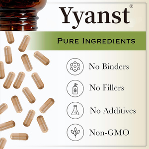 Capsules d'extrait de sureau de haute qualité, marque privée, pour stimuler l'immunité, favoriser la santé osseuse et offrir un soutien antioxydant. - Product Image 4