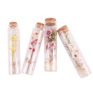 <strong>Mini</strong> Real <strong>Dried</strong> <strong>Flowers</strong> for Weddings Christmas Parties Easter Valentine's Day Mother's Day for Friend Gifts Wholesale - Product Image 3