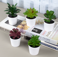 Mini plante succulente artificielle en pot, fleur en PVC givré, style pierre précieuse, bonsaï écologique et durable pour mariage, Noël, Nouvel An