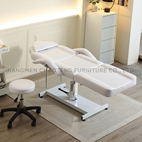 Table de massage professionnelle pour salon, hydraulique, électrique, pliable, avec cadre métallique, pieds réglables, dossier et éponge haute densité pour les soins des cils