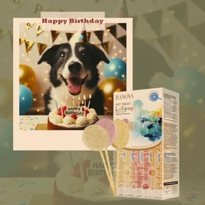 China Factory Manufacturer Supplier Wholesale Bulk Export Private Label OEM ODM Low MOQ Healthy Freeze Dried <strong>Dog</strong> Lollipop - Product Image 5