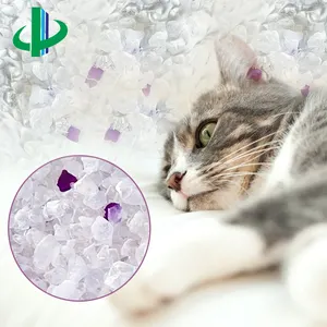 Imballaggio personalizzato di alta qualità lettiera per gatti sfusa cristalli di Gel di silice estremamente assorbenti