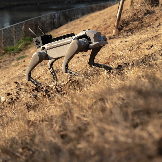 All-Terrain Wheeled Quadruped Robot high-mobility hybrid robot dog with wheels built for complex industrial and field operations