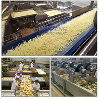 Línea de producción de patatas fritas de 500 Kg/h Línea de producción de patatas fritas congeladas Línea de producción de patatas fritas y patatas fritas