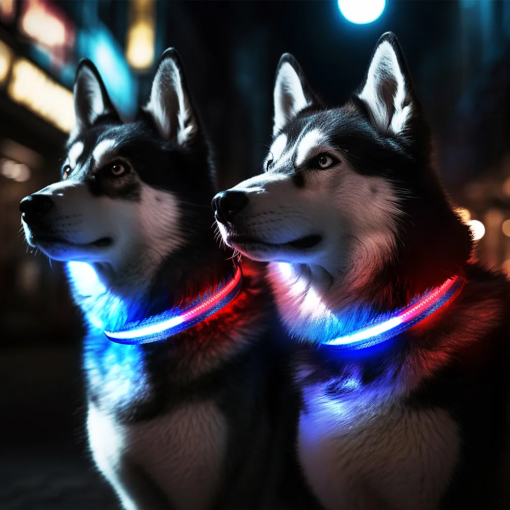 Neue Ankunft Warnung Haustier LED Hunde halsbänder Aufladen Nylon Blinklicht LED Hunde halsband mit Warnleuchte