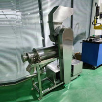 Professionele Watermeloen Extractie Sinaasappelmachine