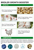 Grillage d'engraissage de vitamines minéraux, prémélange de combat coq poulet à vendre