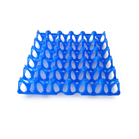 Caisse à œufs pliable en plastique maillé OEM, empilable, pour solutions de stockage et logistique de transport d'œufs à usage commercial