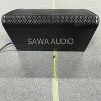 Moniteur de scène professionnel passif SAWA Audio VTX M22 double 12 pouces avec haut-parleurs en néodyme, puissance RMS de 1500 W