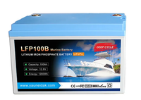 Baterai Lithium Deep Cycle LFP100B Berkualitas Tinggi, Kapasitas Tinggi, 12V 100AH, 3000 Siklus, 2100CCA untuk Penyimpanan Marine/Solar/RV