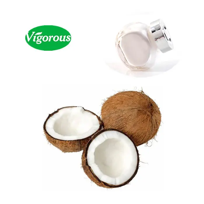 최고의 판매 유기 영양 코코넛 과일 추출물 분말