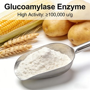 <span class=keywords><strong>Poudre</strong></span> d'enzyme glucoamylase Hesyn certifiée ISO, économique (10 milliards UFC/g), température optimale 55-60°C pour la fabrication de Baijiu - Product Image 1