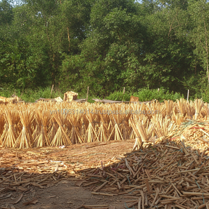 Palo de escoba sin procesar, palo de escoba de madera, origen de Vietnam, solo de la fábrica KEGO - Product Image 1