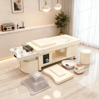 Shampooing multifonctionnel Tête de lit Spa Chauffe-eau Massage Shampooing Chaise Tête Spa Cycle de l'eau
