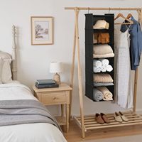 Étagère de rangement suspendue pour armoire avec 5 étagères, 2 poches latérales, installation par crochet en acier, pliable, lot de 2, revêtement en poudre pour le rangement.