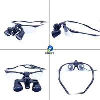 Loupe colorée EUR PET Meilleure qualité Loupe dentaire chirurgicale Microchirurgie Loupe binoculaire Kepler vétérinaire