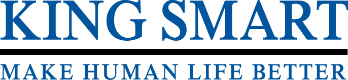 NINGBO KING SMART TRADING CO., LTD. logo