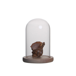 Rõ ràng <span class=keywords><strong>Glass</strong></span> cloche hiển thị <span class=keywords><strong>Dome</strong></span> với gỗ cơ sở trang trí <span class=keywords><strong>Glass</strong></span> Bell Jar cây Huy chương Antique sưu tầm giáng sinh trang trí nội thất - Product Image 5