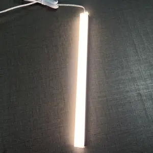 Bán hot trong nhà LED nhúng dải ánh sáng cho nội thất tủ chiếu sáng