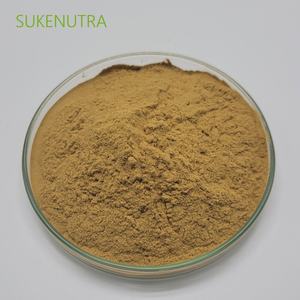 En kaliteli hızlı teslimat bamya tohumu özü - Product Image 4