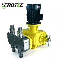 Pompe doseuse à membrane mécanique série GM GB 1800L/h 12bar pour le traitement de l'eau et la pétrochimie