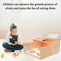 Couveuse à poussins en bois avec thermomètre, capacité 25 poussins, convient aux canards