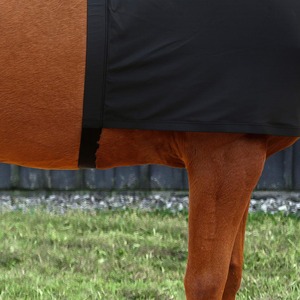 Chaleco elástico negro de lycra para caballo, protección elástica en cuatro direcciones, cubre pecho para equitación. - Product Image 3