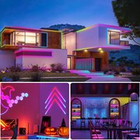 Neonawall Vente en gros de bande lumineuse LED tressée en silicone 360°, 10 mm, bande néon, 5 V USB, commande par application/télécommande, IP65, dimmable